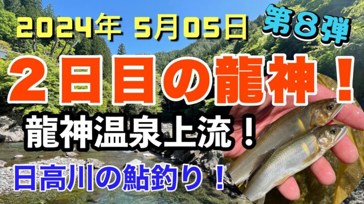 【日高川鮎解禁】2024年5月5日 (二日目) 最終日！