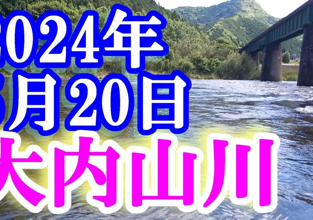 鮎釣り 昨晩雨で20cm増水垢ぐされ 岩船橋上 小広瀬橋下 大内山川 2024年