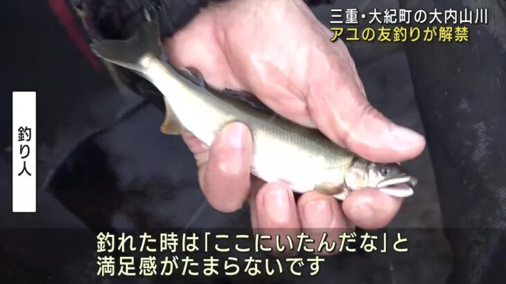 アユの釣りが解禁　今年は苔の生育がよく稚魚が大きく育つ　三重県大紀町の大内山川 (24/05/11 12:00)