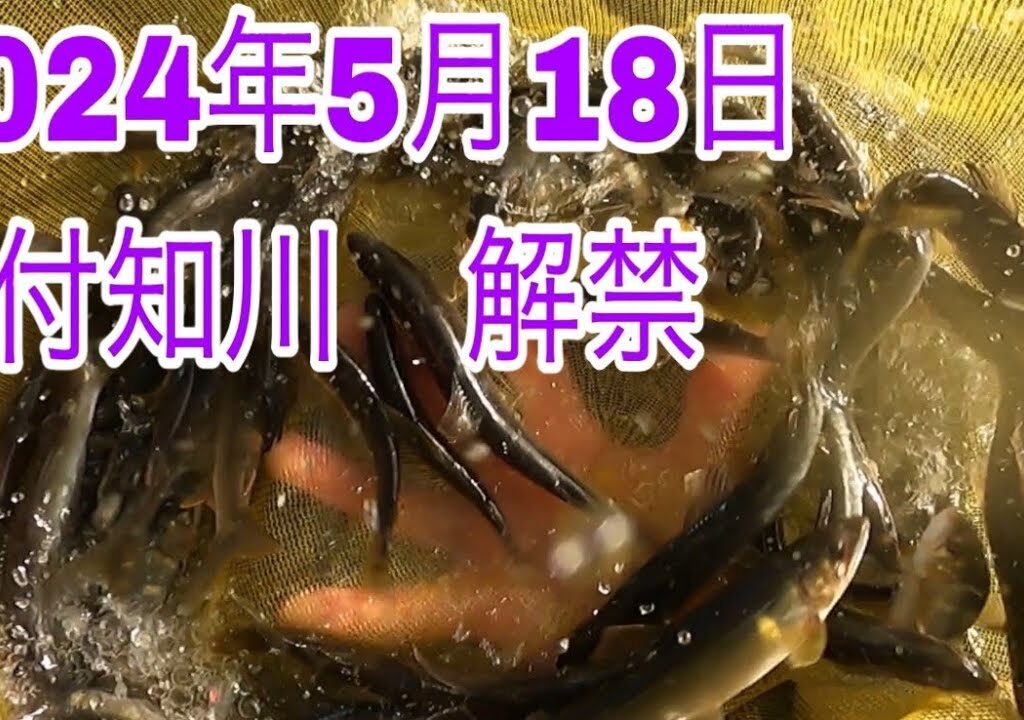 付知川解禁！4時半から掛かる？