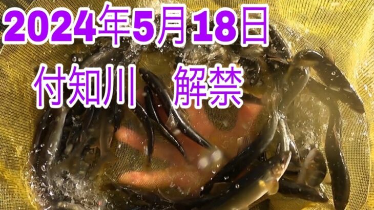 付知川解禁！4時半から掛かる？