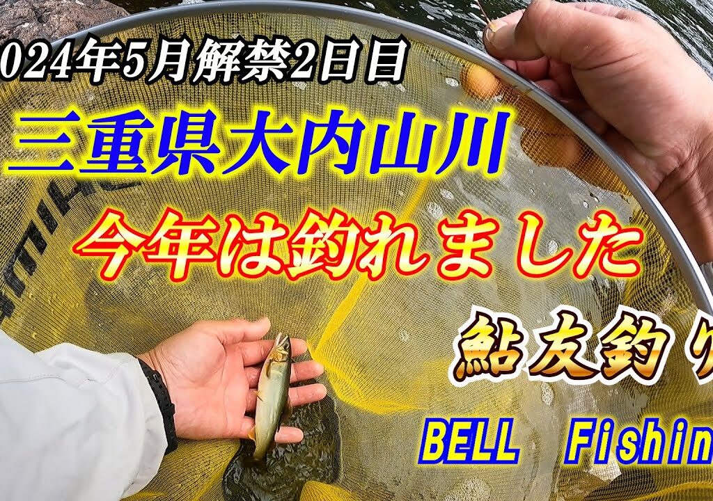BELL　Fishing　2024年5月鮎友釣り第1回目　三重県大内山川解禁2日目釣行