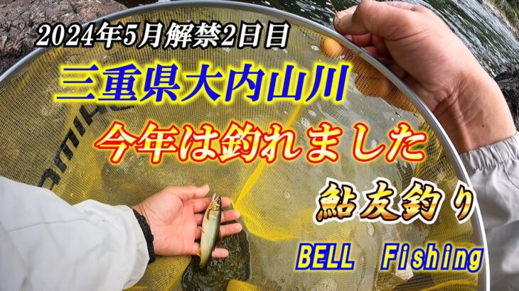 BELL　Fishing　2024年5月鮎友釣り第1回目　三重県大内山川解禁2日目釣行
