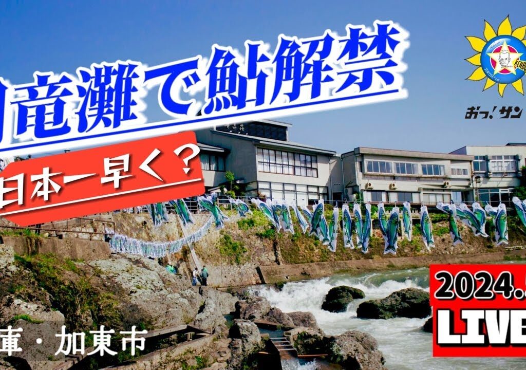 LIVE🔴闘竜灘で日本一早い？鮎解禁200キロ２万5千匹放流　天気悪いよ☂️
