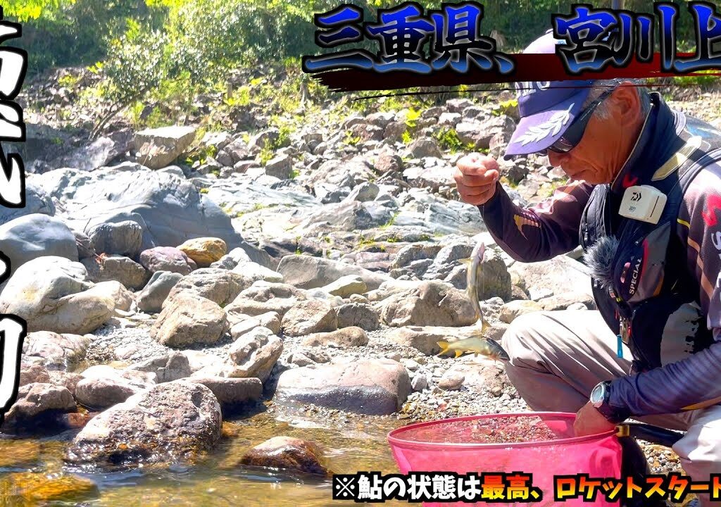 【三重県・宮川上流】R6年5月4日鮎の友釣り試し釣り速報いきなりの入れ掛かり目印ぶっ飛び！！今シーズンは好発進で飛ぶかも！？