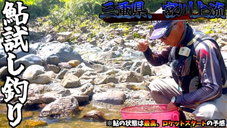 【三重県・宮川上流】R6年5月4日鮎の友釣り試し釣り速報いきなりの入れ掛かり目印ぶっ飛び！！今シーズンは好発進で飛ぶかも！？