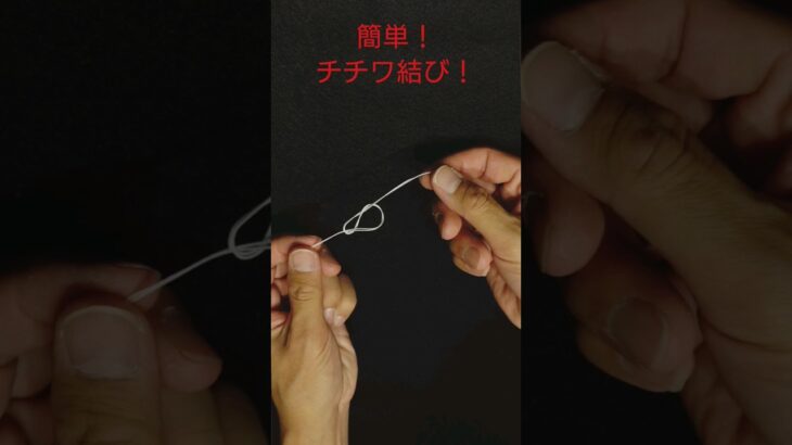 簡単な釣り糸の結び方！チチワ結び！竿と仕掛けを結ぶ #釣り #fishing #fishingknot