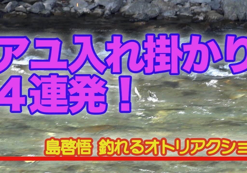 島啓悟釣れるオトリアクション アユ入れ掛かり４連発！