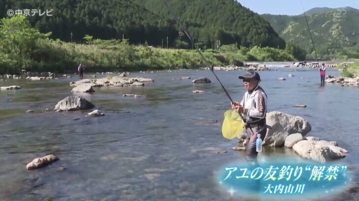 【アユの友釣り”解禁”】 三重・大紀町
