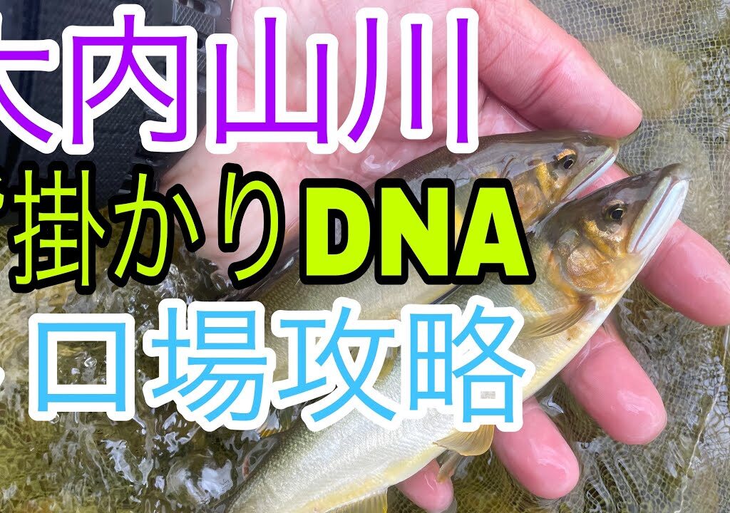 大内山川 トロ場を攻略せよ