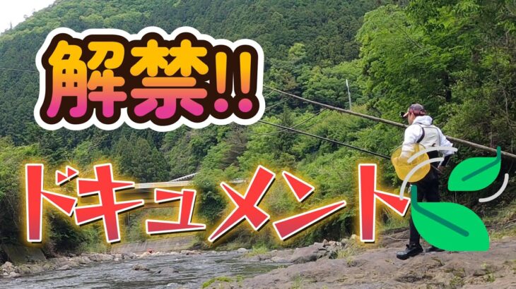 【鮎釣り】早期解禁第二弾”　初登場　寒川の巻！