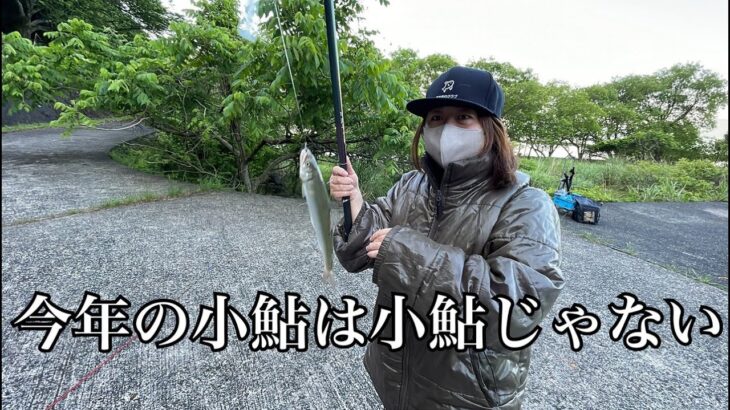 小鮎が去年の三倍のサイズ！？脂のノリが最高で美味しすぎた