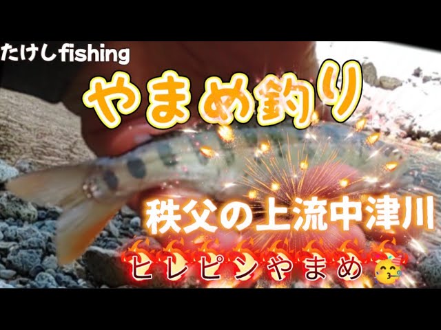 やまめ釣り中津川🥳ヒレピンやまめ綺麗です☺️