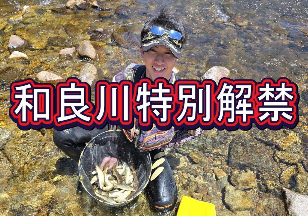 【和良川特別解禁】場所ムラ、腕ムラ、ムラムラ・・・中日スポーツ解禁取材　鮎釣り