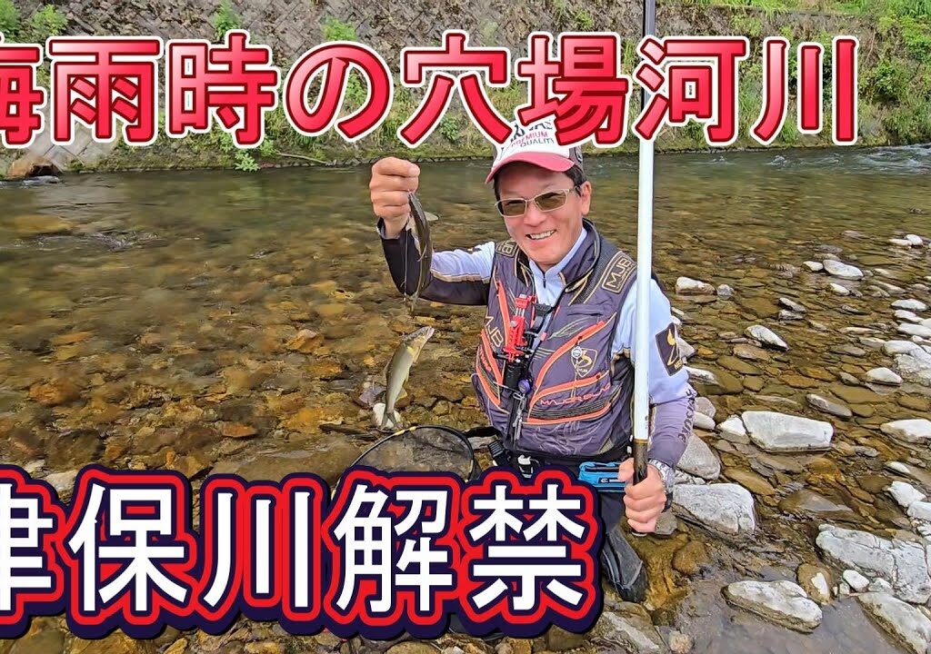 【梅雨時の穴場河川】津保川解禁　群れアユが半端ない数！　中日新聞夕刊釣り情報　鮎釣り