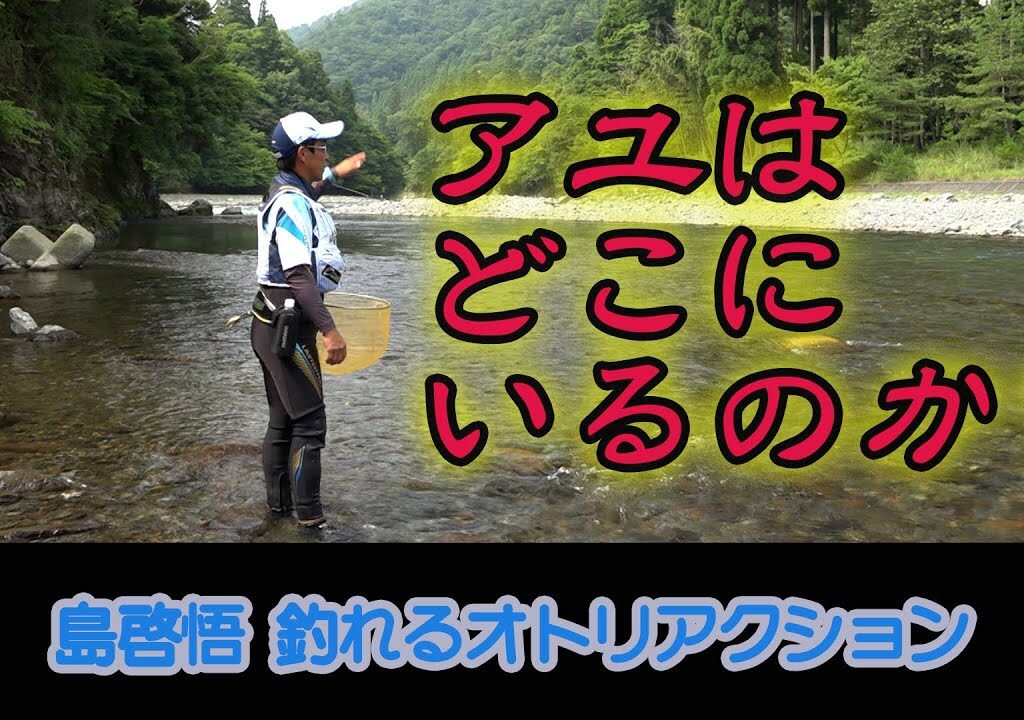 島啓悟 アユはどこにいるのか？
