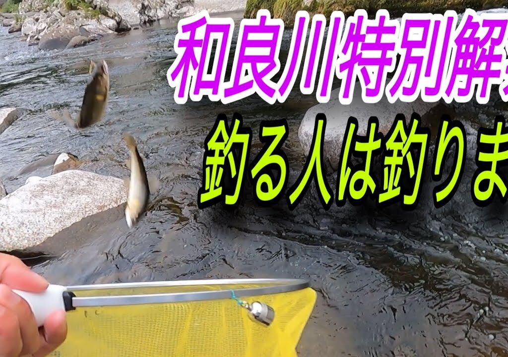 和良川特別解禁 2日目