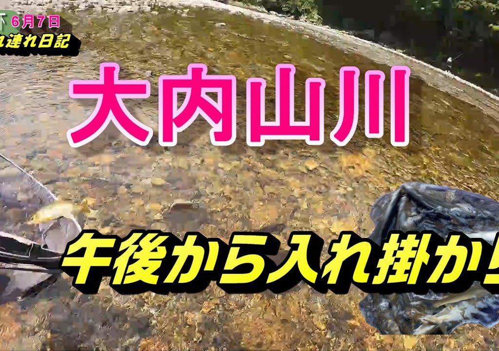 2024 06 07小広瀬橋下流 午後プチプチプチのいれ掛かり！