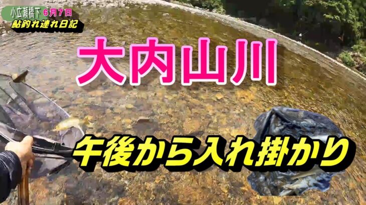 2024 06 07小広瀬橋下流 午後プチプチプチのいれ掛かり！