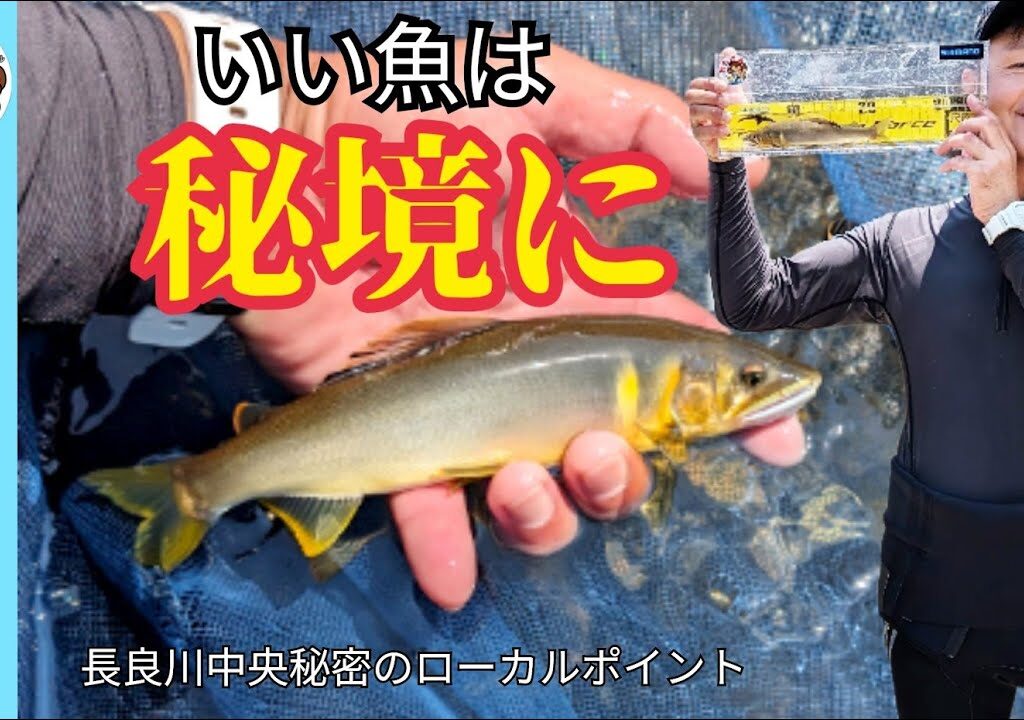【鮎釣り2024】いい鮎は秘境に！長良川中央ローカルポイント