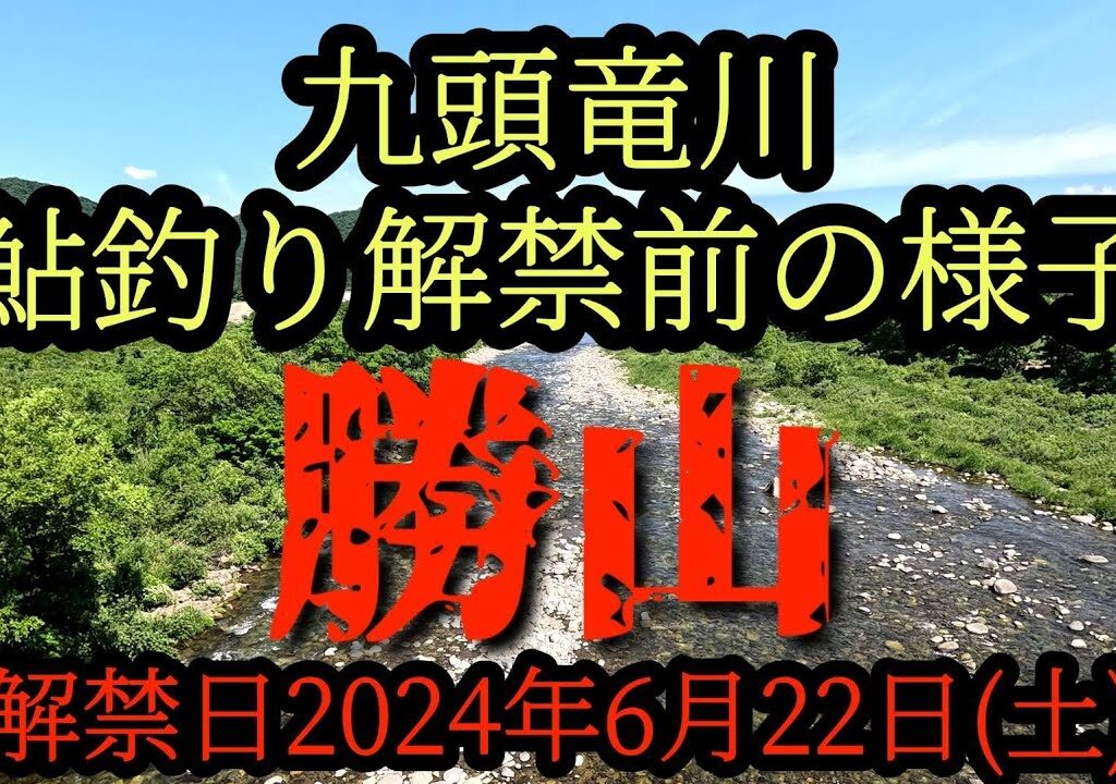 九頭竜川『勝山』解禁前の様子2024年