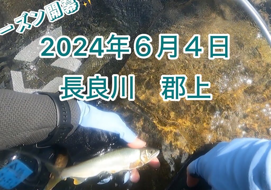 【鮎釣り】2024年シーズン開幕✨これが現実。。。
