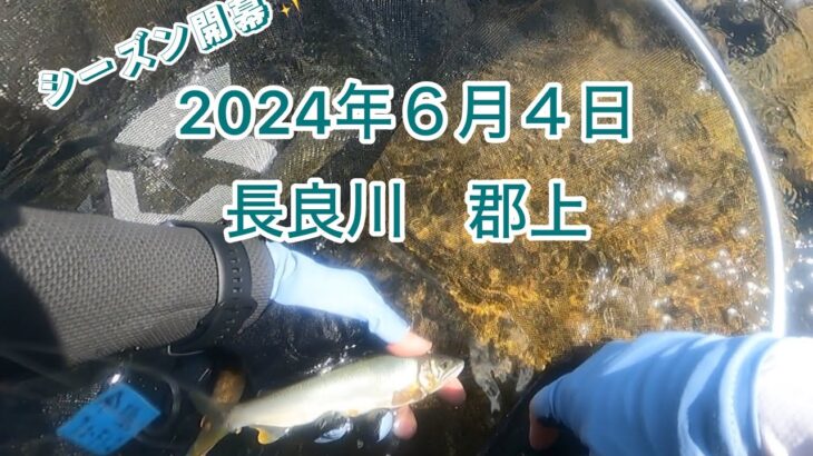 【鮎釣り】2024年シーズン開幕✨これが現実。。。