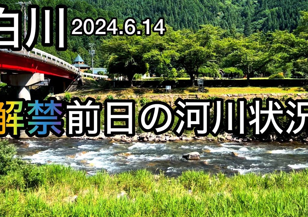 【鮎釣り2024】白川（岐阜県）解禁前日の河川状況【友釣り】
