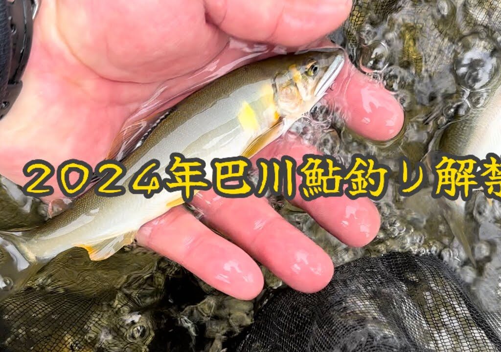 【鮎釣り】2024年巴川鮎釣り解禁