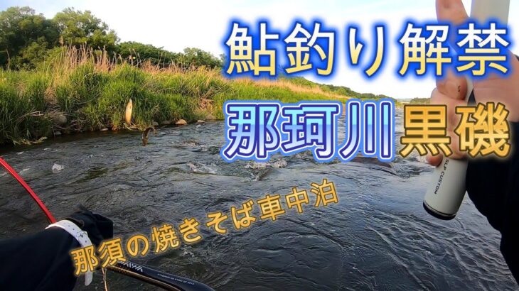 那珂川の黒磯で2024年鮎釣り解禁しました