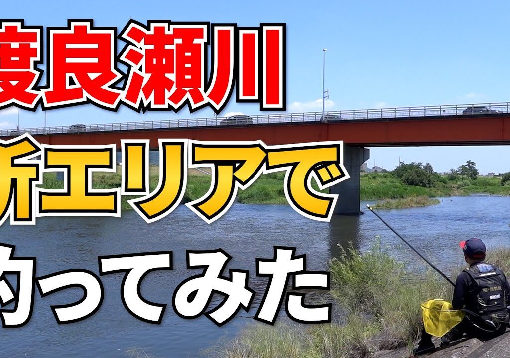 2024渡良瀬川で誕生した新エリアで釣ってみた【鮎釣り】