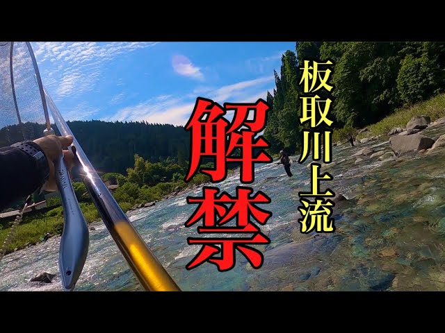 【鮎釣り】岐阜県板取川上流解禁！2024年