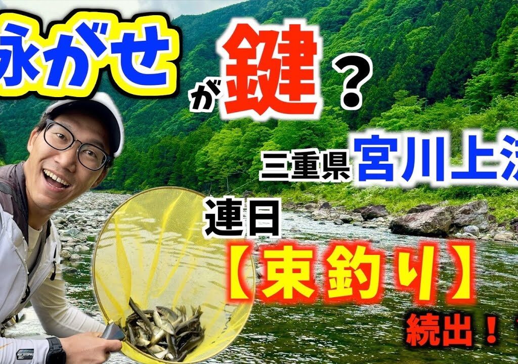 【鮎友釣り2024】解禁から好調だった宮川上流で泳がせ道場に乗り込む！