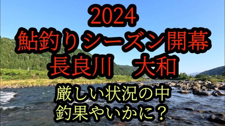 鮎釣りシーズン開幕2024長良川大和