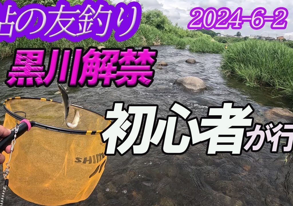 【黒川鮎の友釣り】2024-6-2 黒川解禁に行ってきました。