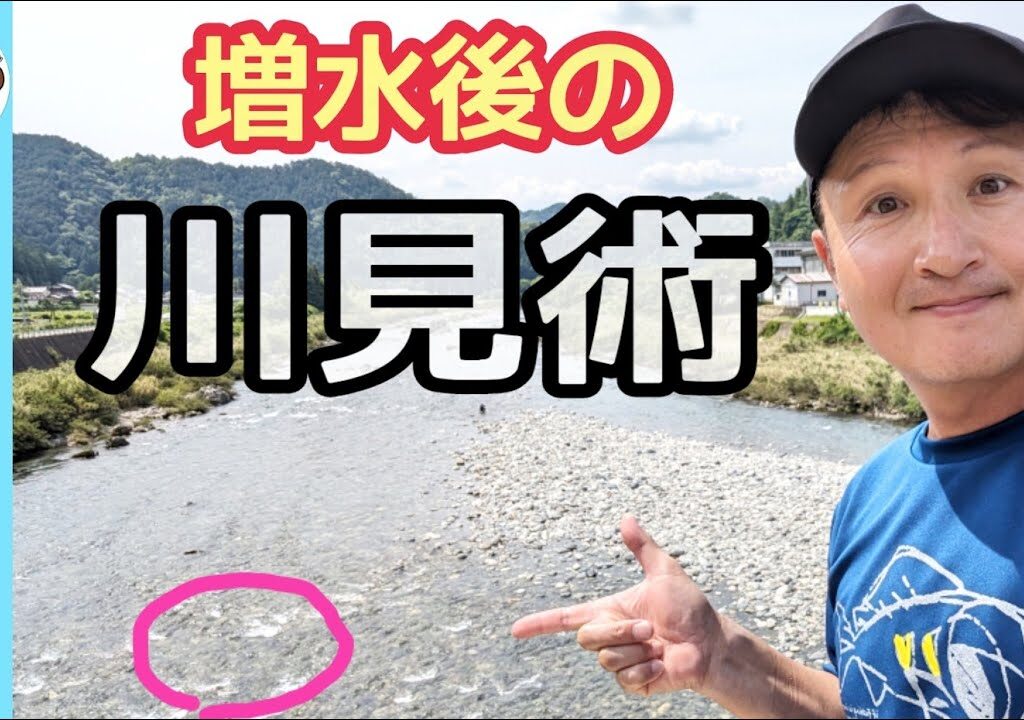 【鮎釣り2024】増水後の川見次第で入れ掛り！