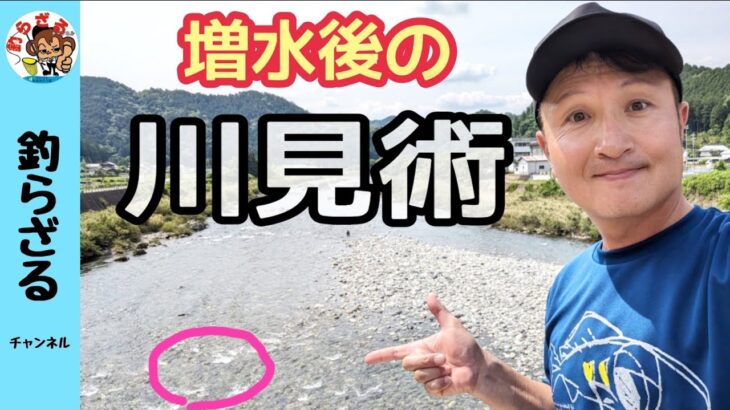 【鮎釣り2024】増水後の川見次第で入れ掛り！