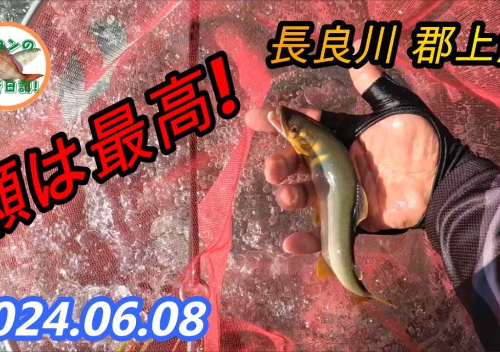 2024.06.08　長良川郡上鮎 水中糸アマード0.1号で瀬を攻める！