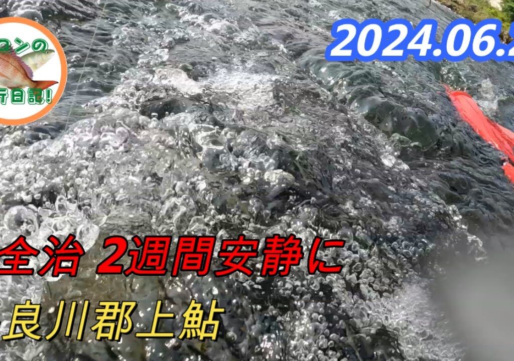 2024.06.22 長良川郡上鮎 川をなめていないが気を抜くと全治2週間