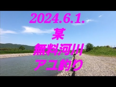 2024.6.1.アユ釣り とある無料河川にて