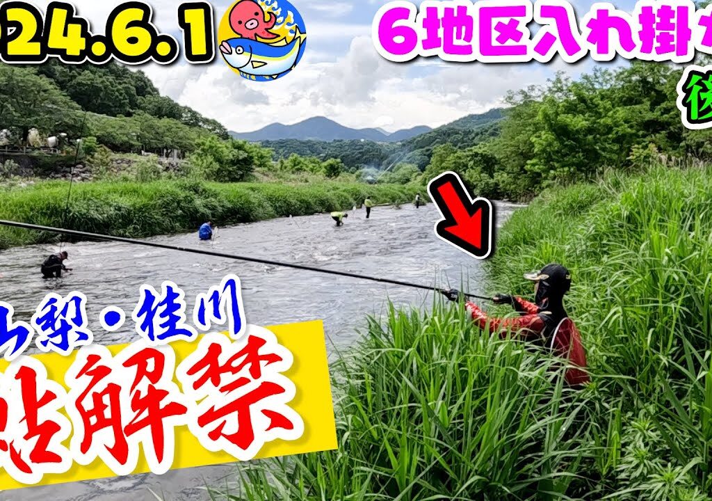 入れ掛かり後編【2024.6.1桂川”鮎釣り”解禁】6地区完全リポート!!【山梨・桂川】