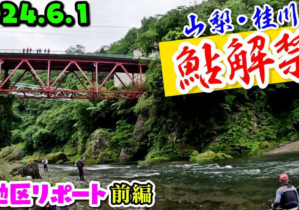 【2024.6.1桂川”鮎釣り”解禁】6地区完全入れ掛かりリポート!!前編【山梨・桂川】