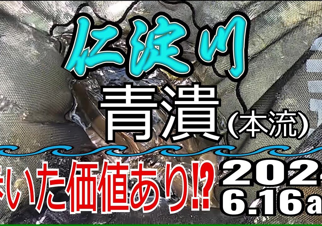 アユの友釣り 仁淀川(高知県) 青潰 2024.6.16am