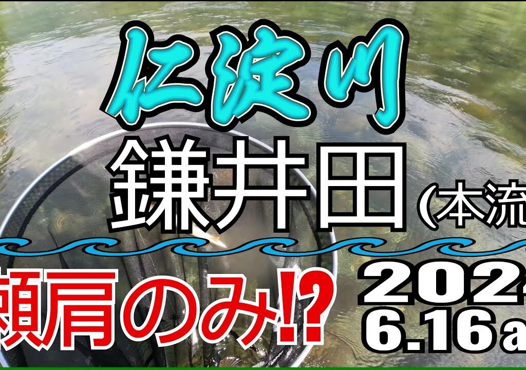 アユの友釣り 仁淀川(高知県) 本流 鎌井田(浅尾沈下橋) 2024.6.16am