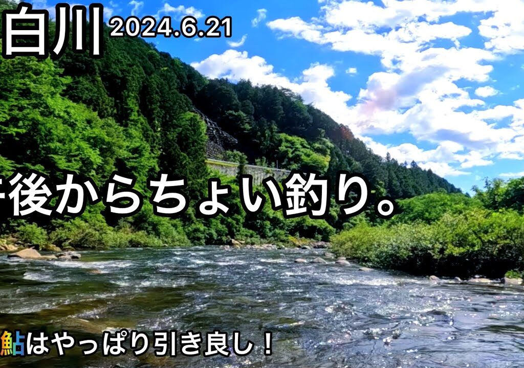 【鮎釣り】白川（岐阜県）｜2024.6.21（金）【友釣り】