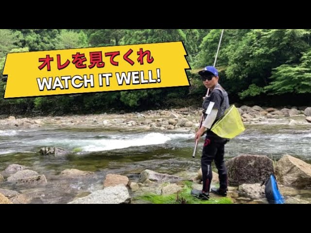【鮎釣り】2024.6.23 大又川の解禁に行ってみたぞ