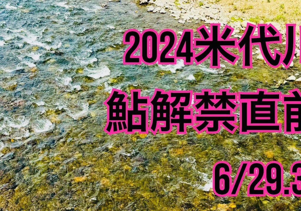 米代川で鮎釣り 2024.6.29.30 解禁直前のポイントを回ってきた