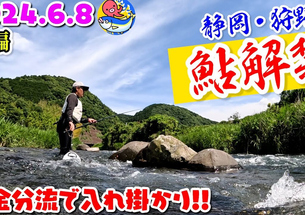 天然入れ掛かり【2024.6.8狩野川”鮎釣り”解禁】旭友会のエース島田さん登場!!後編【静岡・狩野川】