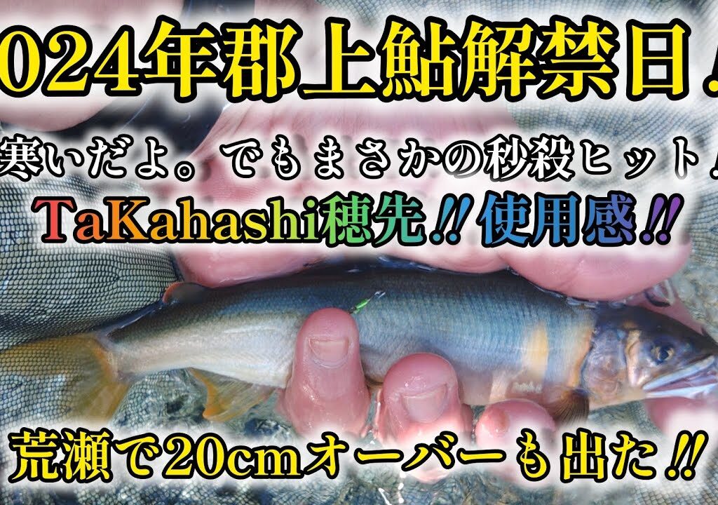 2024年郡上鮎解禁日‼️寒い‼️でも、まさかの秒殺ヒット‼️荒瀬で20cmオーバーも出た‼️
