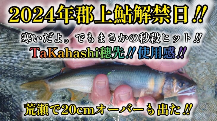 2024年郡上鮎解禁日‼️寒い‼️でも、まさかの秒殺ヒット‼️荒瀬で20cmオーバーも出た‼️